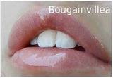 Bougainvillea Gloss
